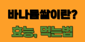 썸네일